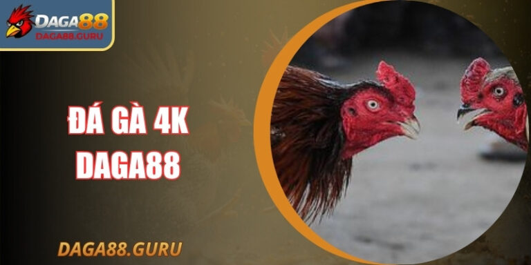 Đá Gà 4k Daga88 – Sân Chơi Hiện Đại Nhất Của Năm 2026
