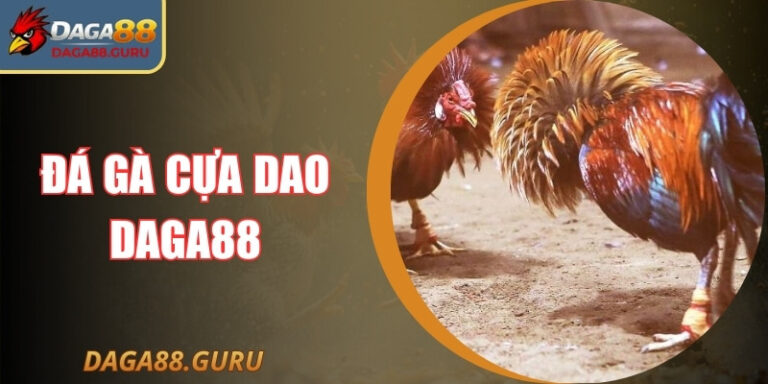 Đá Gà Cựa Dao Daga88 – Loại Hình Giải Trí Bùng Nổ 2026
