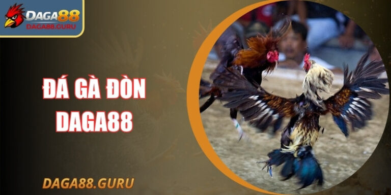 Đá Gà Đòn Daga88 – Món Đấu Trí Đỉnh Cao Và Thực Thụ
