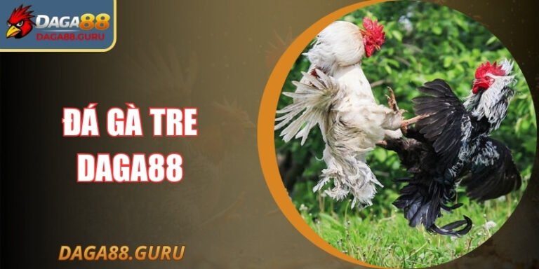 Đá Gà Tre Daga88? Hướng Dẫn Luật Chuẩn Chỉ Cho Newbie