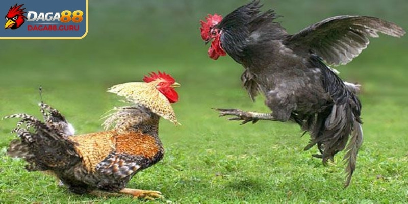 Nắm rõ một số lưu ý cần thiết