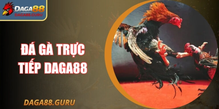 Đá Gà Trực Tiếp Daga88 Sân Chơi Hấp Dẫn Nhất Châu Á