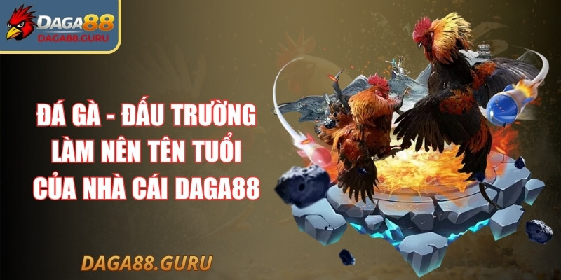 Đá gà - Đấu trường làm nên tên tuổi của nhà cái Daga88