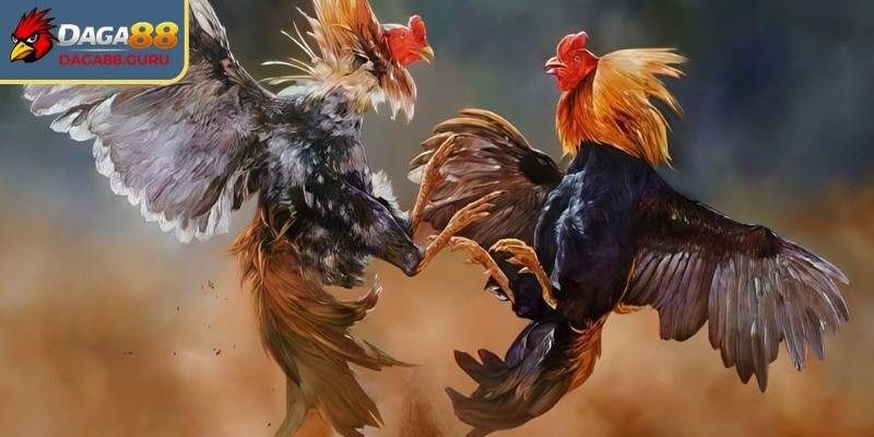 Phân loại màu mạng gà